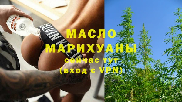 скорость Ельня