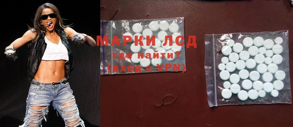 ГАЛЛЮЦИНОГЕННЫЕ ГРИБЫ Дмитриев