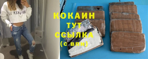 скорость Ельня
