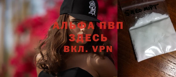 скорость Ельня