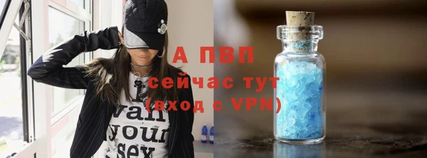 мяу мяу мука Дмитров