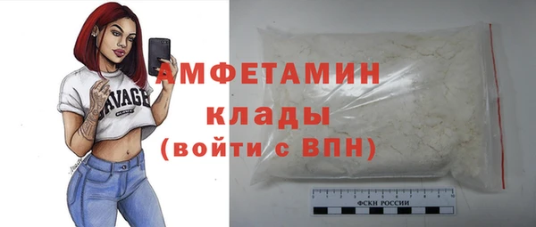 скорость Ельня