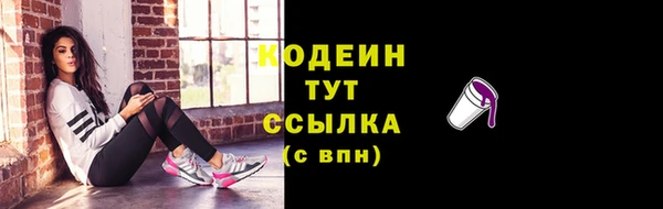 ГАЛЛЮЦИНОГЕННЫЕ ГРИБЫ Дмитриев