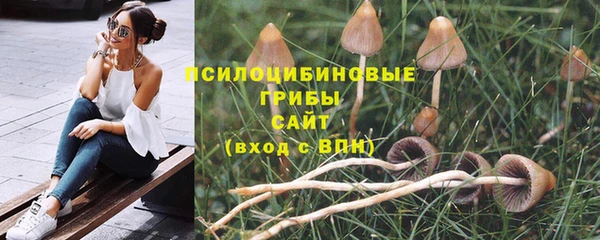 mdpv Елабуга