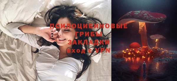 скорость Ельня