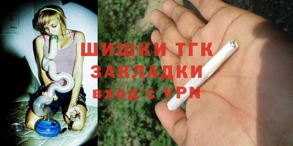 скорость Ельня