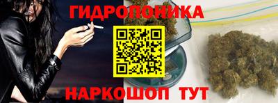 гашик Лесосибирск