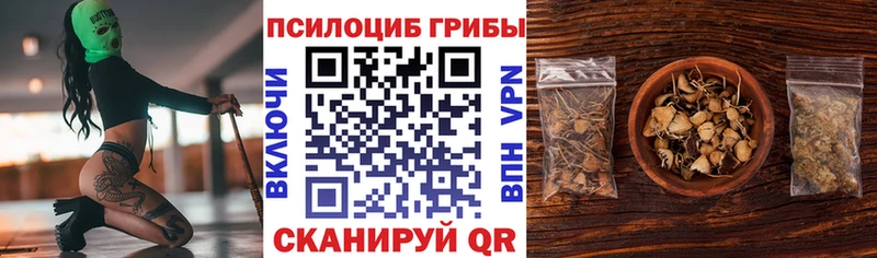 Псилоцибиновые грибы мицелий  дарнет шоп  hydra как зайти  Саранск 