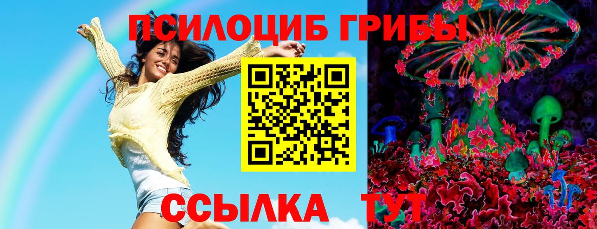 Галлюциногенные грибы Psilocybe  Вход с VPN  где продают   Саранск 