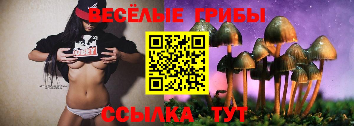 Псилоцибиновые грибы мицелий Саранск